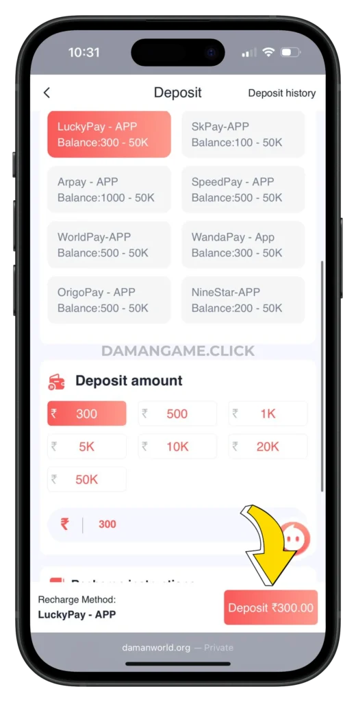 DAMAN-GAME-DEPOSIT-PAGE